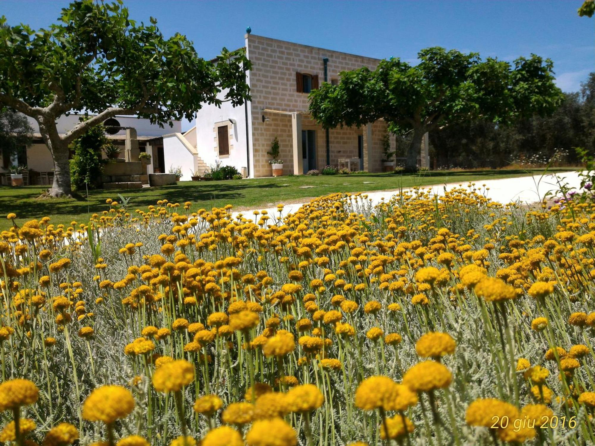 Masseria Vignenove Уджано-ла-Кьеза Экстерьер фото